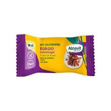 Biluta Proteica cu Cacao Fara Gluten Bio 24 grame Alnavit Cod: 42393481 foto