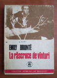 Emily Bronte - La rascruce de vanturi