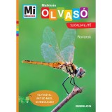 Rovarok - Matric&aacute;s sz&ouml;vegfejtő - Mi MICSODA OLVAS&Oacute; - Christina Braun