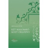 K&eacute;t malomkő k&ouml;zt &ouml;rlődve - Bertalan P&eacute;ter