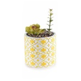Cumpara ieftin Planta suculenta artificiala in ghiveci ceramica alba galbena &Oslash; 11 cm x 19 H