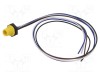 Conector M12 soclu tată 4 pini 4A 250V IP67 drept cu cablu LUTRONIC