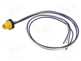 Conector M12 soclu tată 4 pini 4A 250V IP67 drept cu cablu LUTRONIC