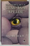 BLESTEMUL DE LA CUMPANA APELOR de ELIZABETH KAY , 2013