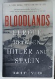 BLOODLANDS , EUROPE BETWEEN HITLER AND STALIN by TIMOTHY SNYDER , 2010