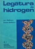 Legatura de Hidrogen - Ilie I. Badilescu, Simona Badilescu - Editura Stiintifica 1981, 290 pagini, Chimie