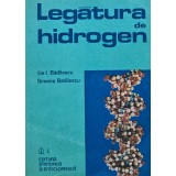Legatura de hidrogen - 1981 - Simona Badilescu (AN59)