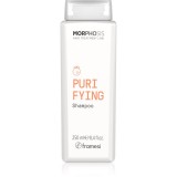 Framesi Morphosis Purifying sampon pentru curatare anti matreata 250 ml