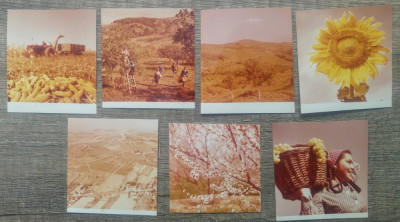 Lot 7 fotografii agricultura// propaganda comunista, dimensiuni mici foto