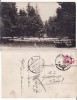 Targu Jiu (Gorj ) - Gradina Publica-, Circulata, Printata