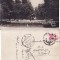 Targu Jiu (Gorj ) - Gradina Publica-
