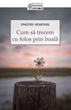 Cum să trecem cu folos prin boală - Paperback brosat - Dmitry Semenik - Sophia