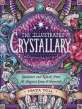 The Illustrated Crystallary: Guidance &amp; Rituals from 36 Magical Gems &amp; Minerals