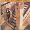 Danielle Steel - Traversari