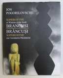 BRANCUSI SOPHROSYNE SAU CUMINTENIA PAMANTULUI de ION POGORILOVSCHI , 2005,