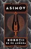 Robotii IV. Robotii de pe Aurora, Paladin