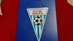 fanion FCM Delta Tulcea foto