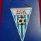 fanion FCM Delta Tulcea