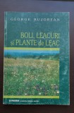 Boli, leacuri și plante de leac cunoscute de țărănimea rom&acirc;nă - George Bujorean