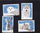 ROMANIA 2020 - FAUNA POLARA, MNH - LP 2271, Nestampilat