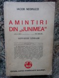 Iacob Negruzzi - Amintiri din Junimea 1939