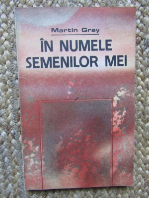 IN NUMELE SEMENILOR MEI - MARTIN GRAY foto