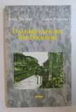 O strada oarecare din Bucuresti / Irina Nicolau