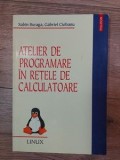 Atelier de programare in retele de calculatoare Sabin Buraga ,Gabriel Ciobanu