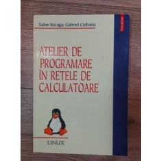 Atelier de programare in retele de calculatoare Sabin Buraga ,Gabriel Ciobanu