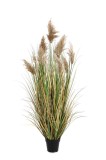 Cumpara ieftin Pampas artificial in ghiveci 90x150 cm