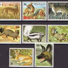 13-RUANDA 1981-FAUNA -Animale carnivore-Serie de 8 timbre nestampilate MNH