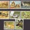 13-RUANDA 1981-FAUNA -Animale carnivore-Serie de 8 timbre nestampilate MNH