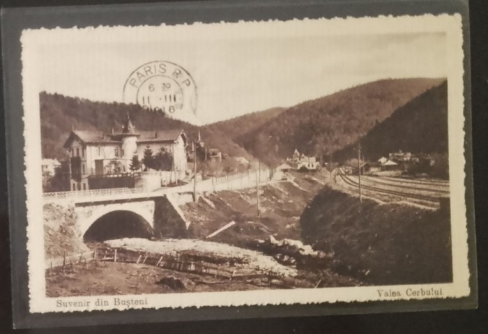 Busteni - Suvenir din Busteni , Valea Cerbului