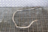 Suport rezervor de combustibil RENAULT MASTER III Furgon FV 2016 11309959