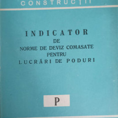 INDICATOR DE NORME DE DEVIZ COMASATE PENTRU LUCRARI DE PODURI-COLECTIV