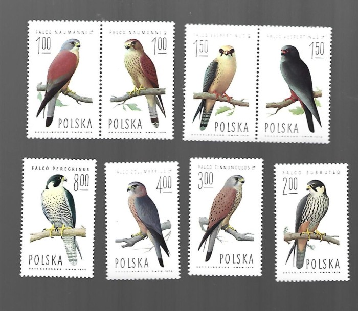 POLONIA PASARI MNH