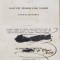 Carmina Valerii Catonis Cum Augusti Ferdinandi Naekii Annotationibus - 1847