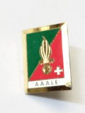bnk ins Insigna - Legiunea Straina - Amicale des Anciens et Amis de la L&eacute;gion Etrang&egrave;re