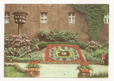 SG6 - Carte Postala - Germania, Zittau, Necirculata 1971 foto