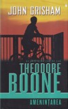 John Grisham - Amenintarea. Al patrulea caz al lui Theodore Boone