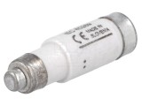 Siguranță gR Ardere Rapidă 10A 400VAC 250VDC D01