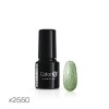 Silcare Color IT Premium Unicorn 2550, 6g