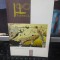 Forma, Revistă de artă, nr. 8/2012, Deva, Dipșe, Maitec, Brejboiu, icoane.., 009