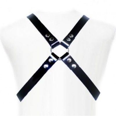 LEATHER BODY - BASIC HARNESS foto