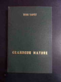 Grandeur Nature Ou Le Feu De Paille - Henri Troyat ,543423