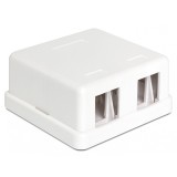 Carcasa Keystone perete 2 Porturi alb, Delock 86207