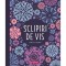 Sclipiri De Vis - Carte De Colorat, - Editura Mimorello