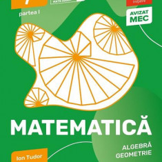 Matematică. Algebră, geometrie. Caiet de lucru. Clasa a VII-a. Inițiere. Partea I - Paperback brosat - Ion Tudor - Paralela 45 educațional