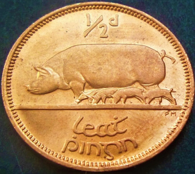 Moneda 1/2 PENNY - IRLANDA, anul 1966 *cod 1422 B = UNC LUCIU DE BATERE foto
