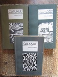 WILLIAM FAULKNER - CATUNUL / ORASUL / CASA CU COLOANE 3 volume